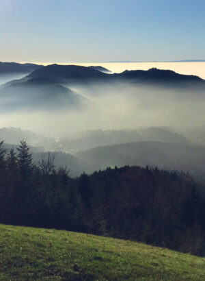 Panorama-Nebel-2